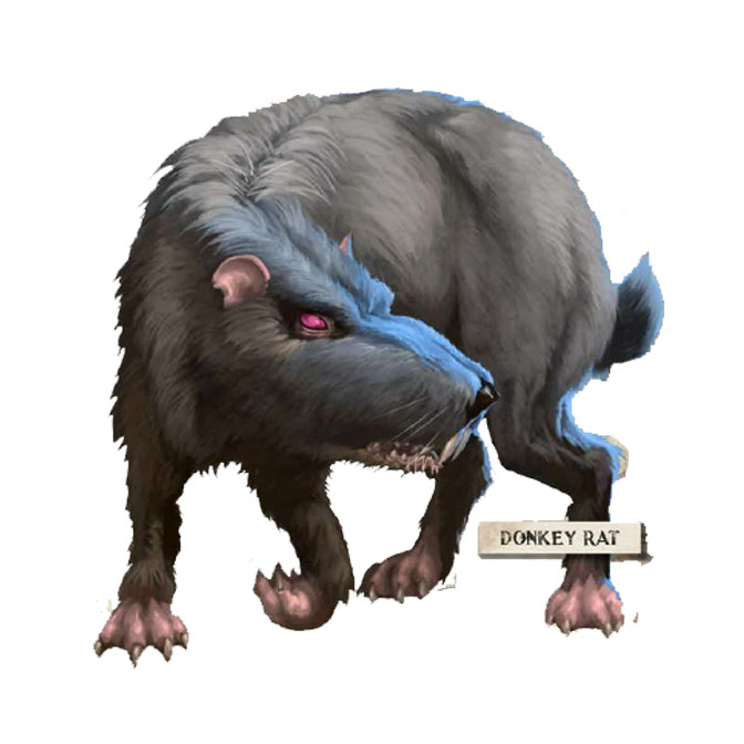 Donkey_Rat.jpg Donkey_Rat.jpg