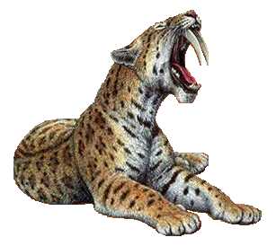 saber-tooth-tiger.jpg saber-tooth-tiger.jpg