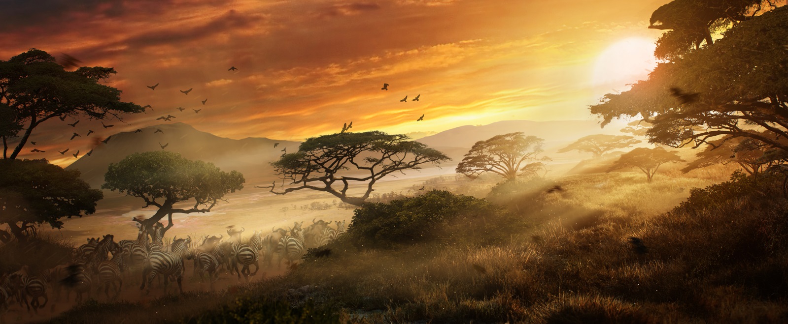 savanna.jpg savanna.jpg