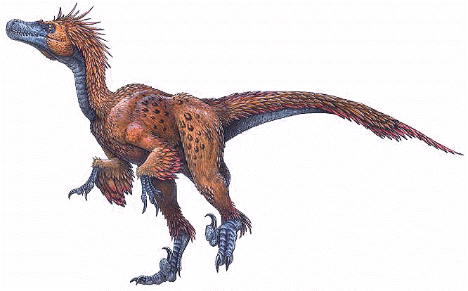 deinonychus_antirrhopus.gif deinonychus_antirrhopus.gif