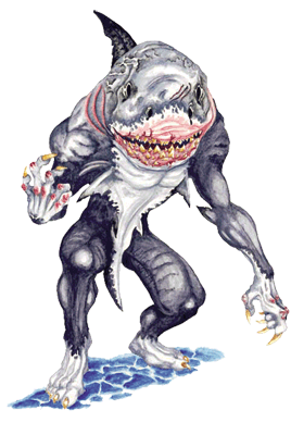 were-shark.png were-shark.png