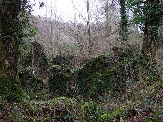 Mossy_ruins_-small.jpg Mossy_ruins_-small.jpg