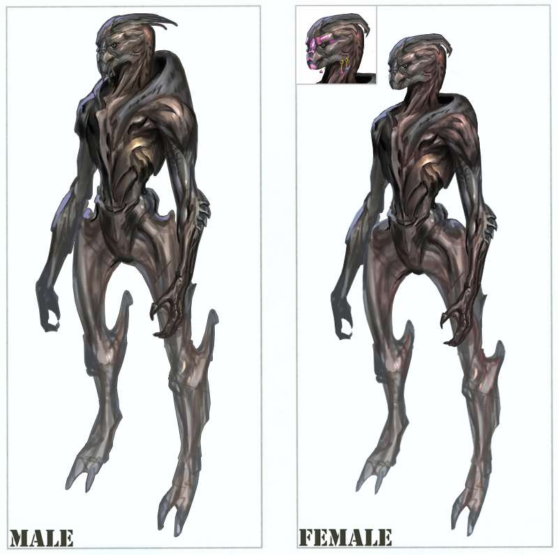 female_turian_by_asurael_returns.jpg female_turian_by_asurael_returns.jpg