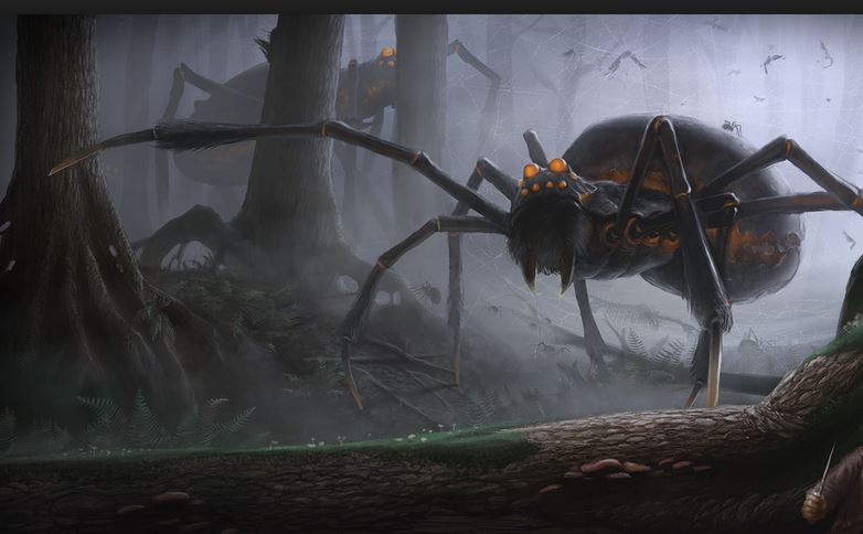 spider_woods.jpg spider_woods.jpg