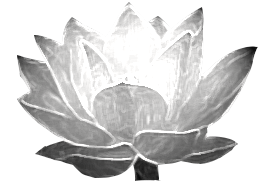 lotus1a.png lotus1a.png