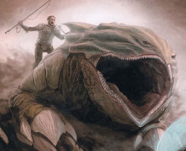 Burrowshark.jpg Burrowshark.jpg