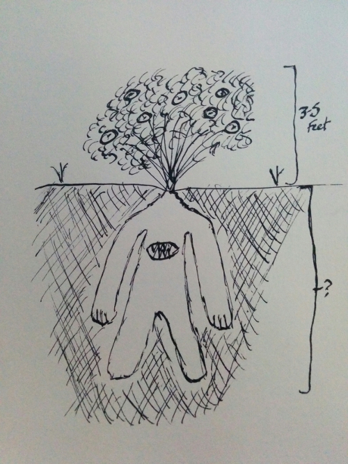 Bramble_Elementalsmaller.jpg Bramble_Elementalsmaller.jpg