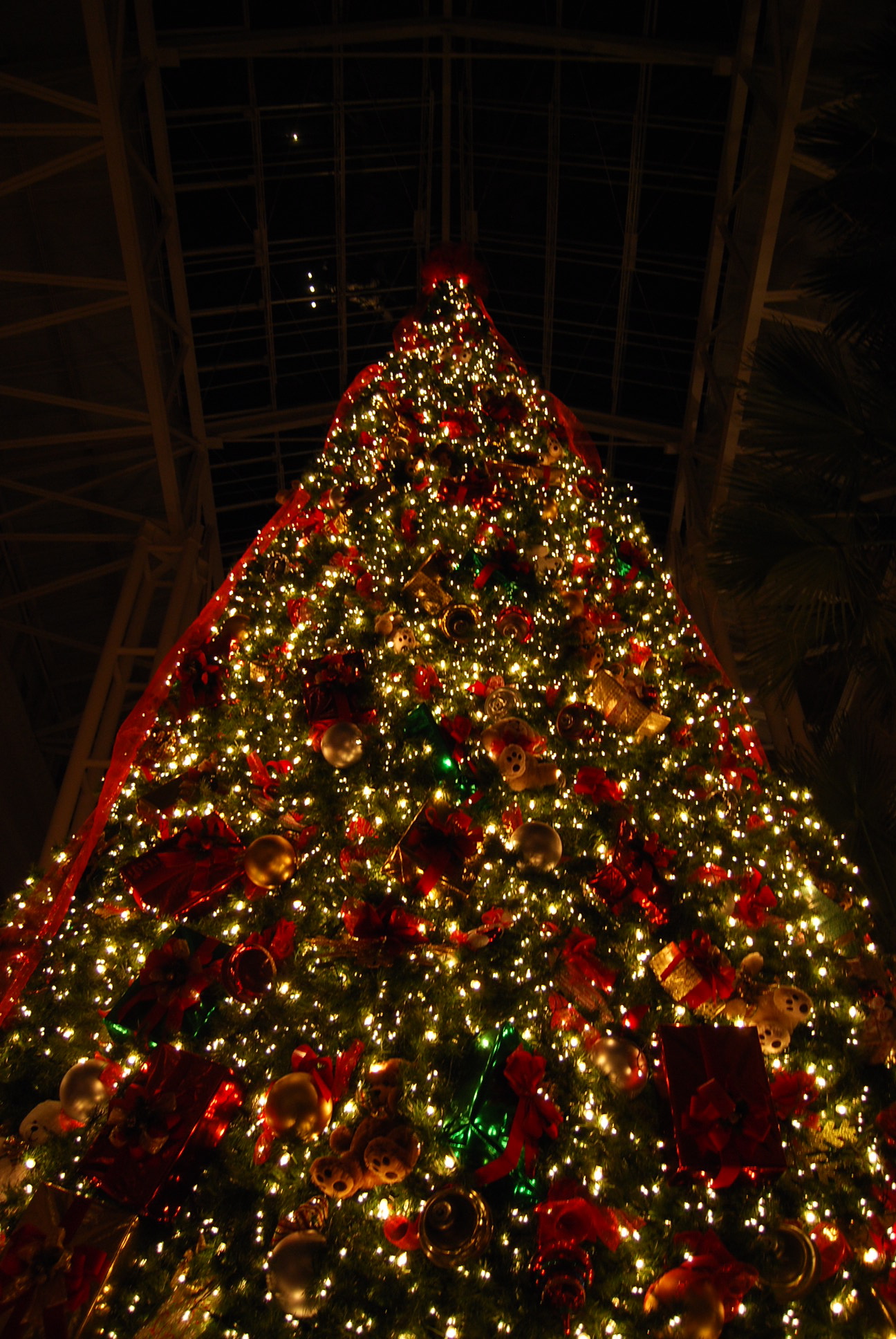 xmastree.jpg xmastree.jpg