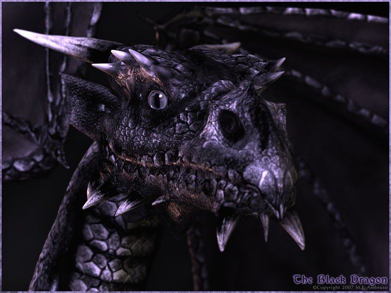 Black_Dragon.jpg Black_Dragon.jpg