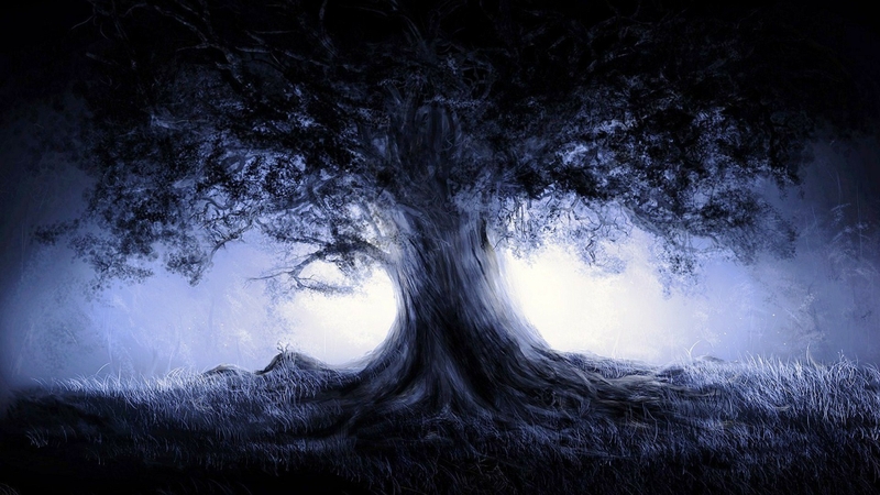 landscapes_trees_night_fantasy_art_1920x1080_wallpaper_www.wall321.com_19.jpg landscapes_trees_night_fantasy_art_1920x1080_wallpaper_www.wall321.com_19.jpg