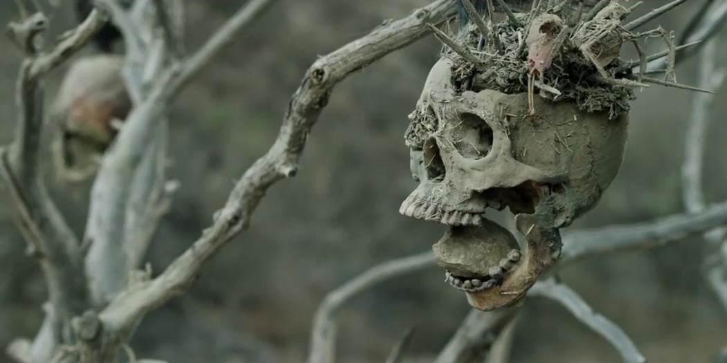BT_Skull-1050x525.jpg BT_Skull-1050x525.jpg