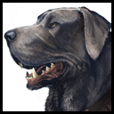 Dog.png Dog.png