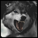 Wolf2.png Wolf2.png
