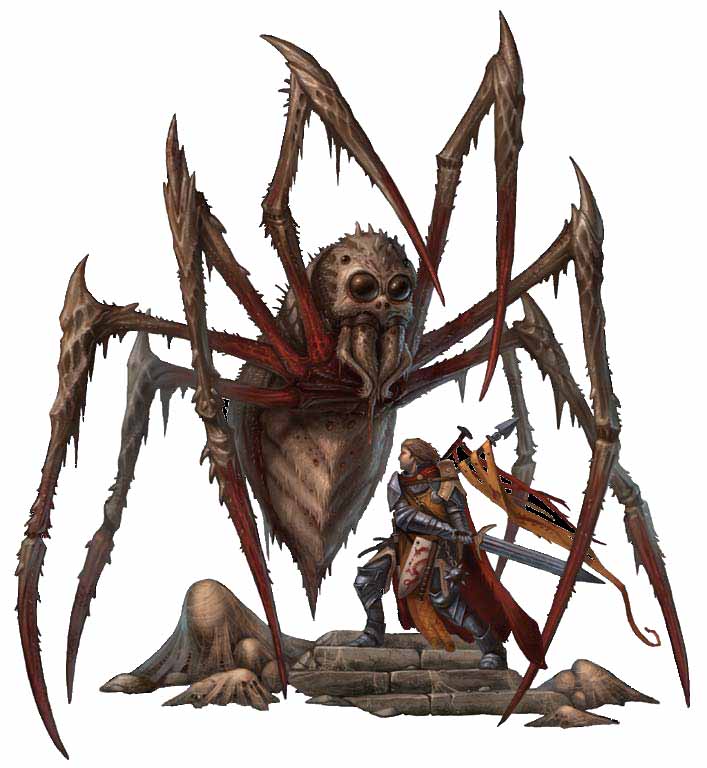 Phase Spider Phase Spider