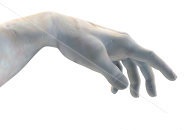 hand.jpg hand.jpg