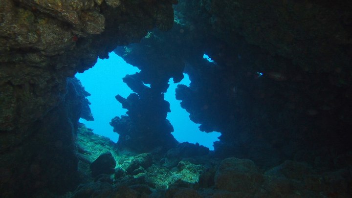 lanai-cathedrals.jpg lanai-cathedrals.jpg