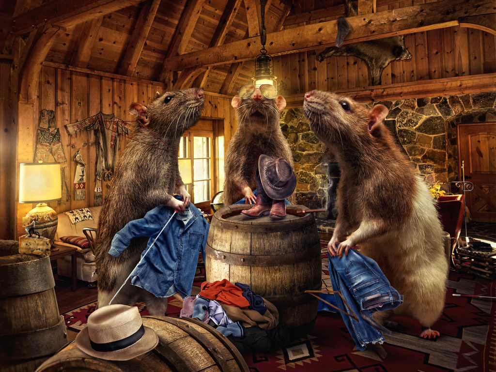 three_blind_rats_by_flewdesigns-d78lokn.png three_blind_rats_by_flewdesigns-d78lokn.png