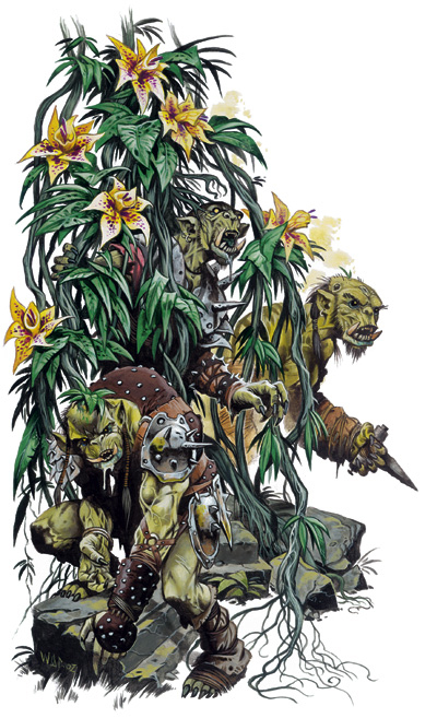 YellowMuskCreeper.jpg YellowMuskCreeper.jpg