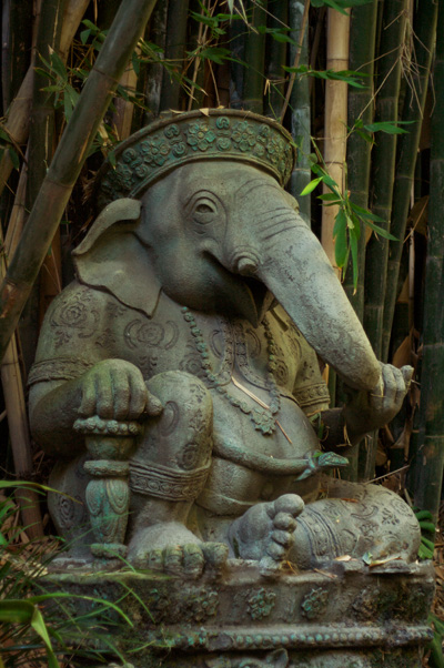 elephantStatueJungleCruiseDisAug2010.jpg elephantStatueJungleCruiseDisAug2010.jpg