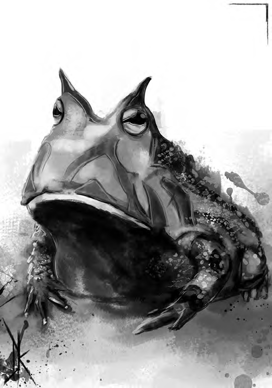 Frog_Idol.bmp Frog_Idol.bmp