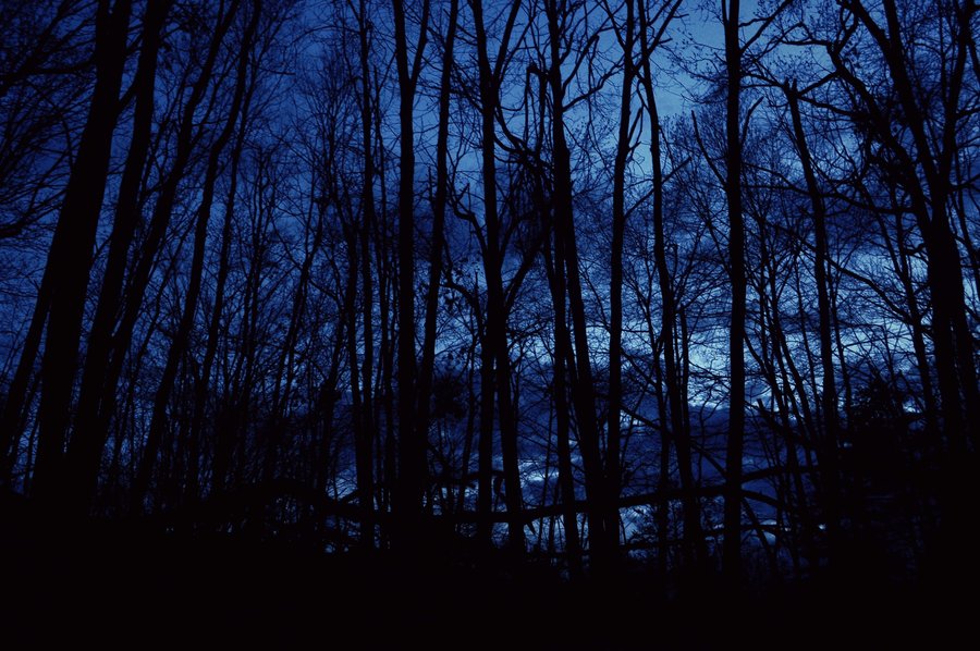 dark_woods_by_tokalaphotography-d52xifx.jpg dark_woods_by_tokalaphotography-d52xifx.jpg