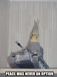 Wark007 Wark007