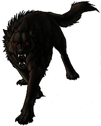 BlackDog BlackDog