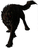 BlackDog BlackDog