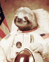 Omgslothsguyz Omgslothsguyz