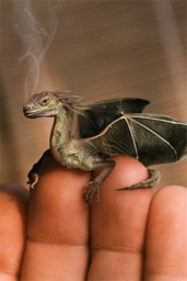 Darkace Darkace