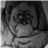 monkeyx monkeyx