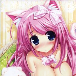 dv8nekomimi dv8nekomimi