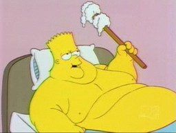 SpringfieldFatts SpringfieldFatts