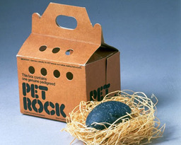 a_pet_rock a_pet_rock