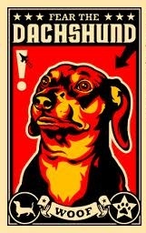 CosmicWeinerDog CosmicWeinerDog