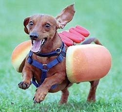 MalibuKnight MalibuKnight