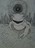 JeremyLMiller JeremyLMiller