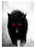 SchwarzWolf SchwarzWolf