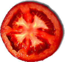 Tomato Tomato