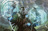 adam_pucciano adam_pucciano