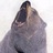 TheAlmightyBear TheAlmightyBear