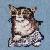 realsmartcat realsmartcat