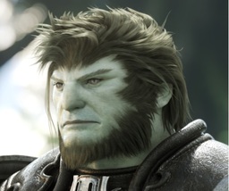 Hioarst Hioarst