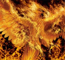 Phoenixman Phoenixman