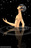 bkbigfish1313 bkbigfish1313