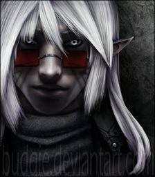 tomhoguejr tomhoguejr