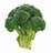 organicveggie organicveggie