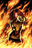 firesprite firesprite