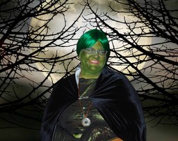 froglady froglady