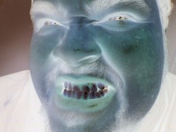 Vullgar Vullgar